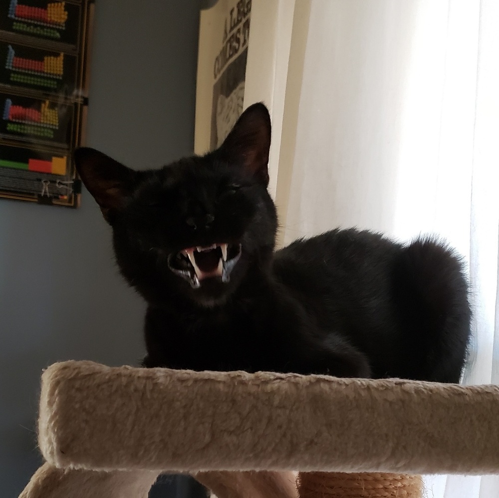 Meet your Posher, Becca